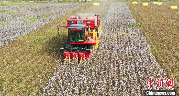 采棉機(jī)正在采收棉花，猶如在五線譜上跳動的音符，正在演奏豐收的樂章?！∷谓?攝