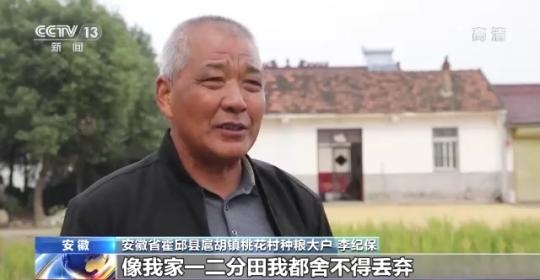 十八連豐！秋收近九成 我國(guó)糧食產(chǎn)能穩(wěn)步提升