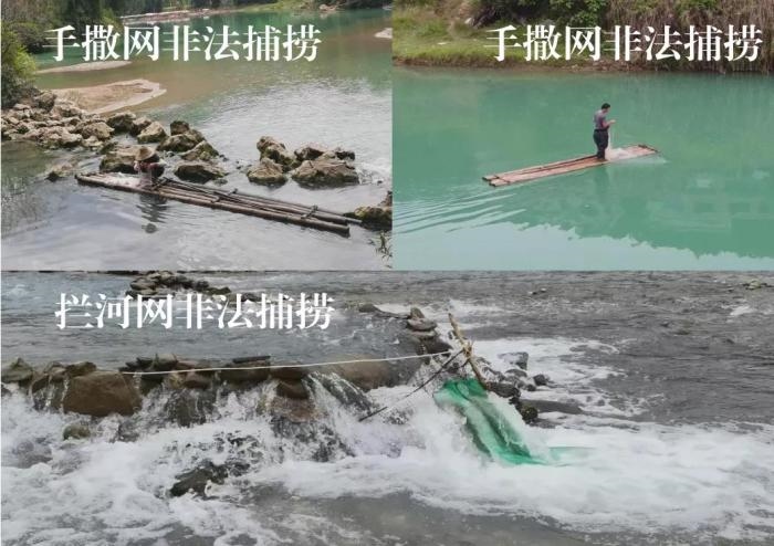 2021年9—10月，前期暗查發(fā)現(xiàn)，保護(hù)區(qū)核心區(qū)內(nèi)非法捕撈行為十分猖獗