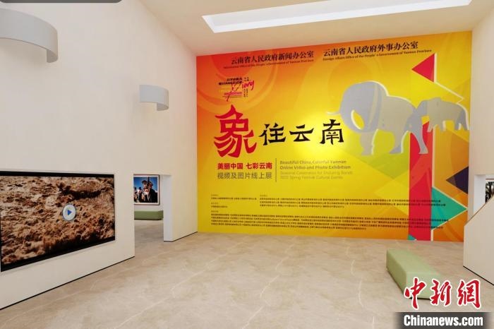 圖為“象”往云南——美麗中國 七彩云南視頻及圖片線上展截圖。　胡遠(yuǎn)航 攝
