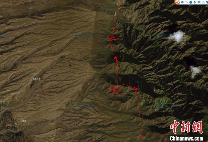 圖為雪豹故地重游來(lái)到放歸地的足跡?！?nèi)蒙古賀蘭山國(guó)家級(jí)自然保護(hù)區(qū)供圖