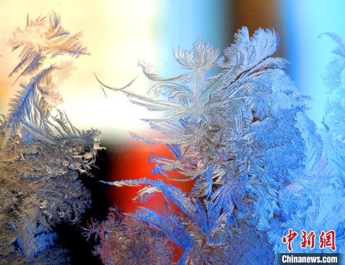 冰窗花千姿百態(tài)。　孫書(shū)程 攝