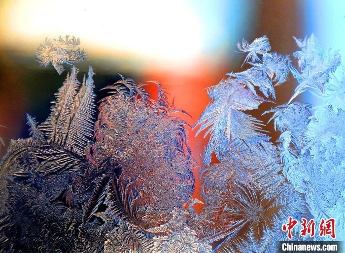 惟妙惟肖的冰窗花，似一幅風(fēng)景畫(huà)。　孫書(shū)程 攝