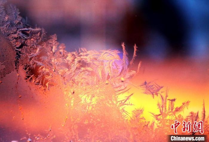 迎著光亮，冰窗花絢麗多姿?！O書(shū)程 攝