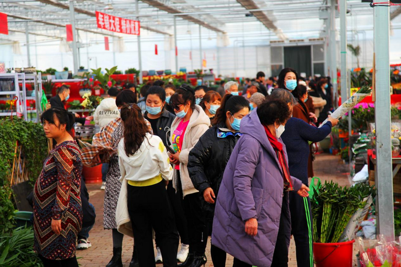赤峰市民在松山區(qū)雨潤花卉市場(chǎng)選購鮮花 李富 攝.png
