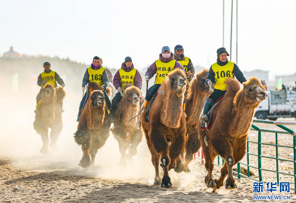 3月7日，賽駝手在6000米成年駱駝場(chǎng)地速度賽比賽中。.jpg