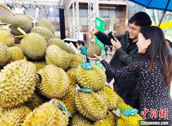 圖為廣西南寧市民在選購(gòu)榴蓮。黃艷梅 攝