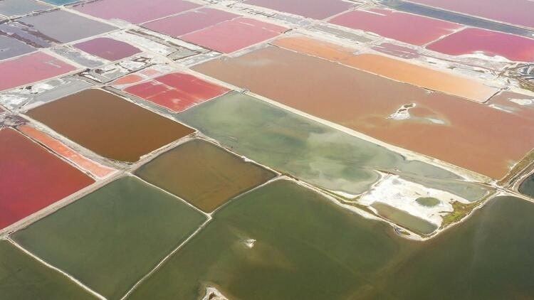 鑒往知來，跟著總書記學歷史丨走進一座博物館，尋根五千年中華文明