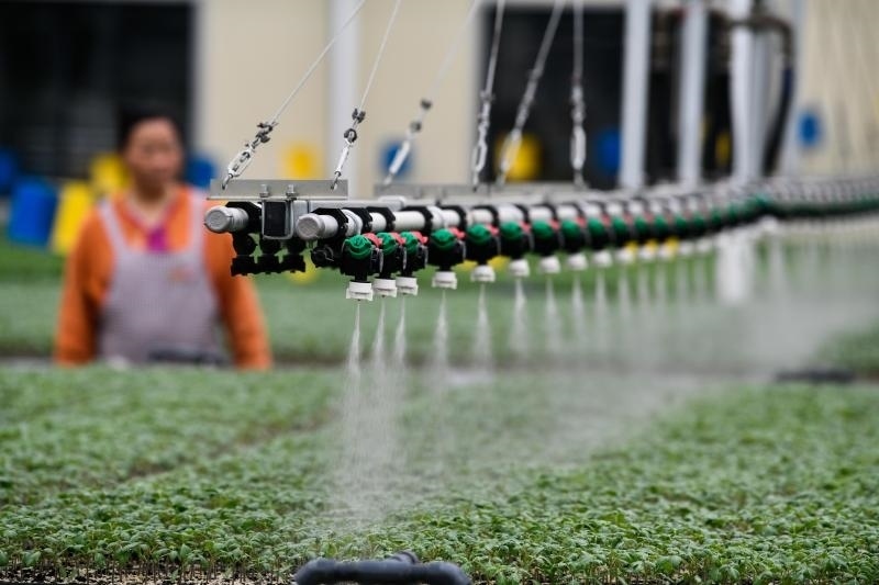 工人在貴陽市開陽縣楠木渡蔬菜良種繁育中心查看自動噴灌系統(tǒng)給辣椒苗澆水情況（2023年5月24日攝）。新華社記者 楊文斌 攝
