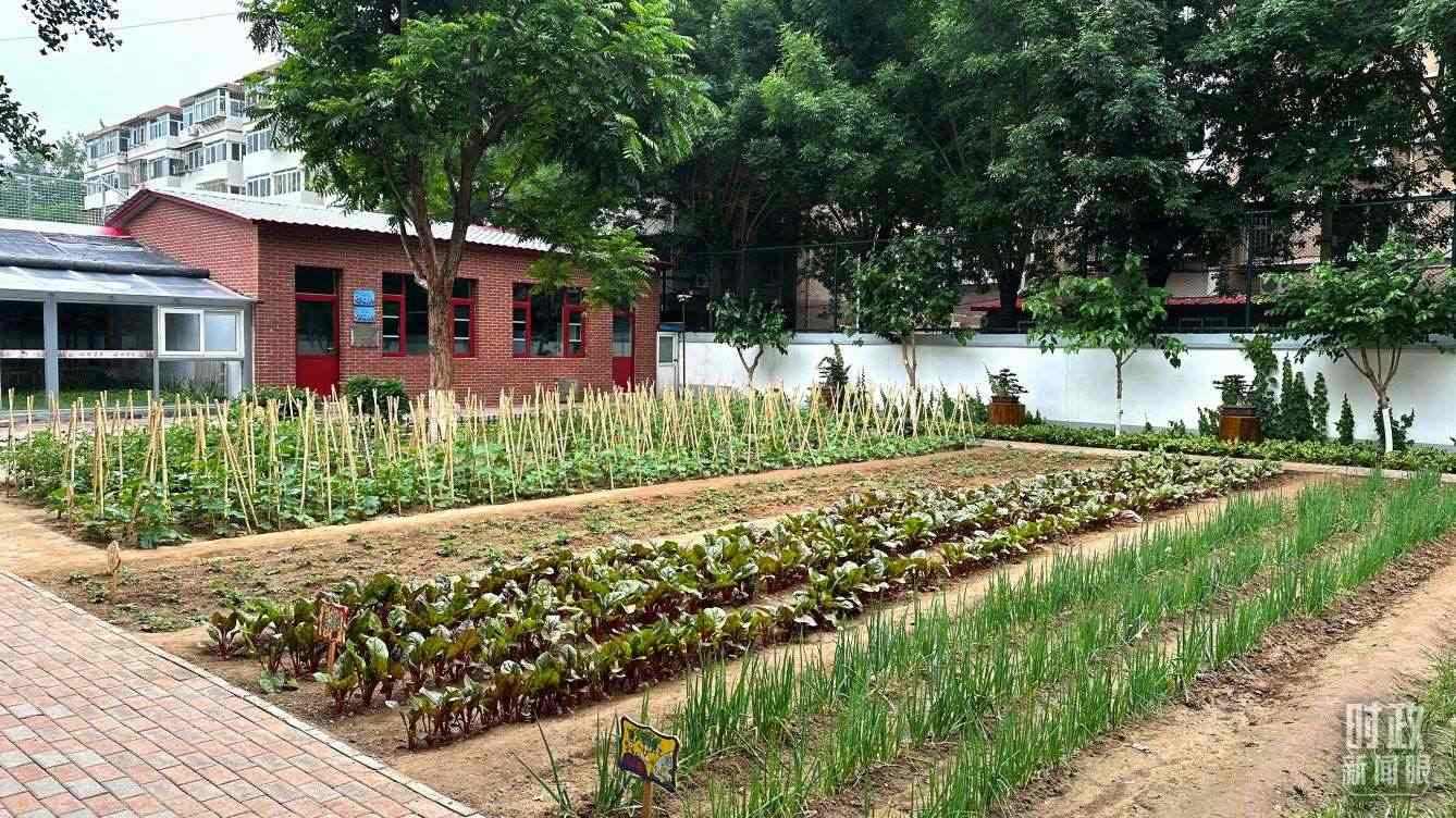 △學(xué)生農(nóng)場。（總臺央視記者趙化拍攝）