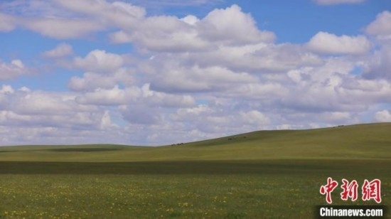 圖為點(diǎn)點(diǎn)新綠在原野上蓄勢(shì)待發(fā)。 歐戈 攝