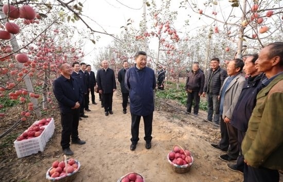 2022年10月26日，習(xí)近平總書記在陜西省延安市安塞區(qū)高橋鎮(zhèn)南溝村蘋果園同老鄉(xiāng)們親切交流。