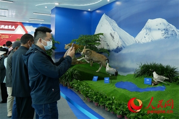 6月17日，觀眾正在觀展。人民網(wǎng) 韋衍行攝