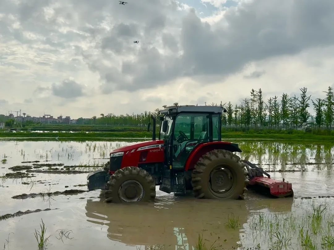 浙江省金華市東陽市城東街道寀盧村的一臺無人駕駛耕地機。靜玄 攝