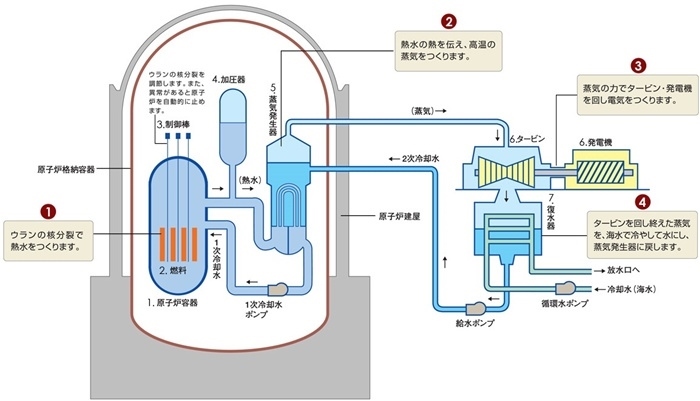 核電站運(yùn)作原理圖。通常的核電站排水未直接接觸核燃料。（圖片來源：日本北海道電力株式會社網(wǎng)站）