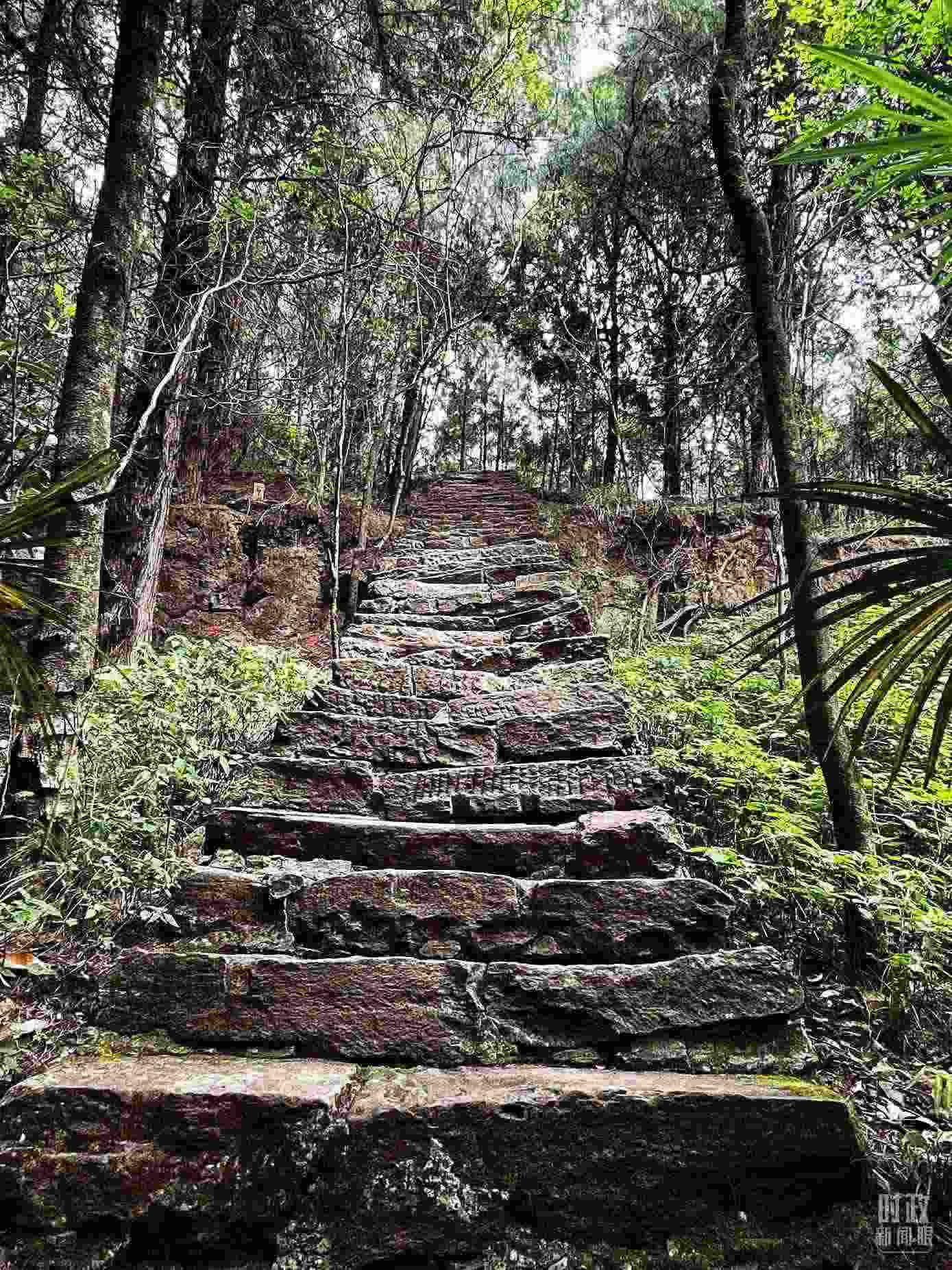 △古蜀道。（總臺(tái)央視記者郭曉龍拍攝）