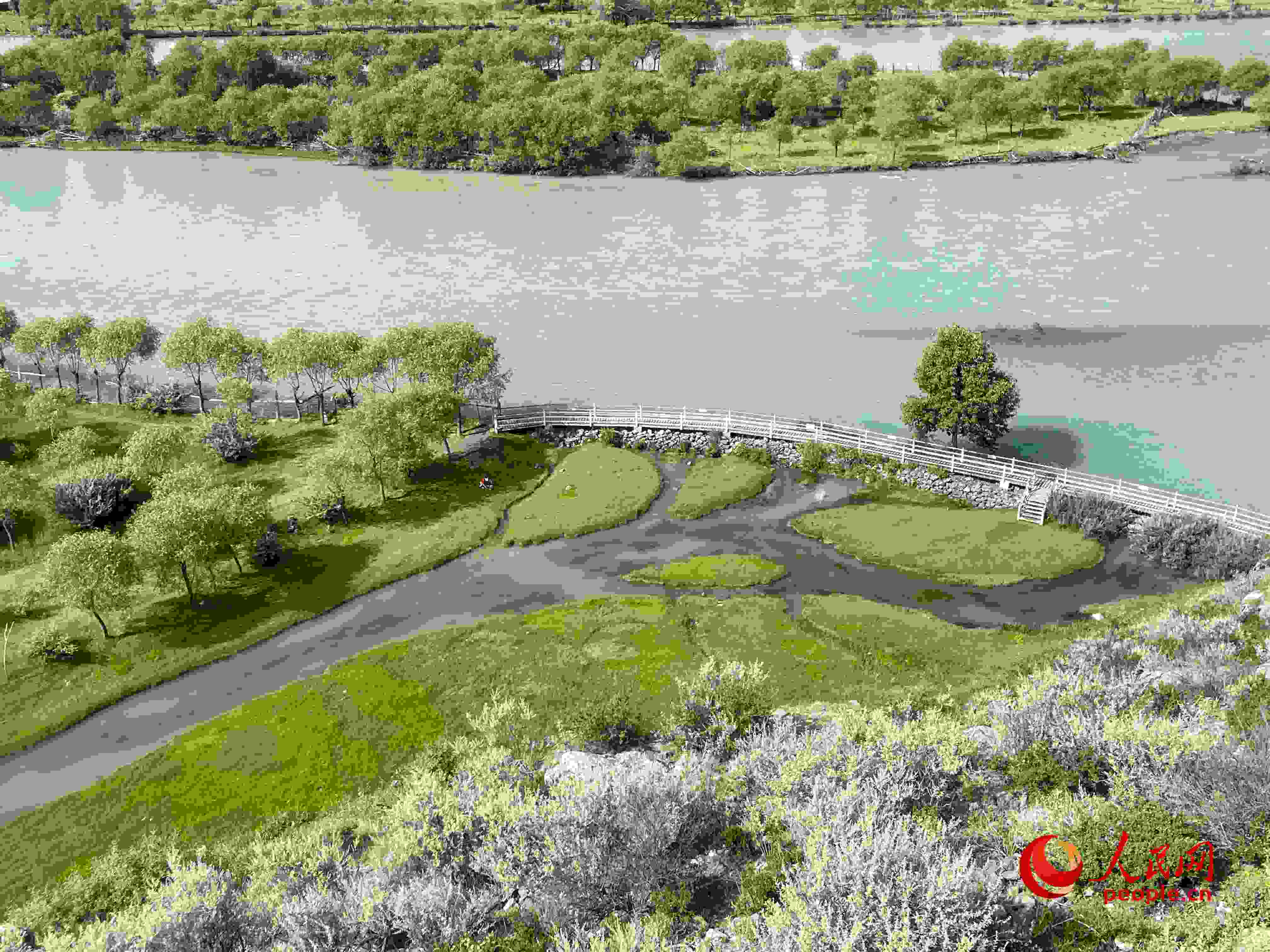 夏日的雅尼國(guó)家濕地公園生機(jī)盎然，如詩(shī)如畫。人民網(wǎng) 周靜圓攝