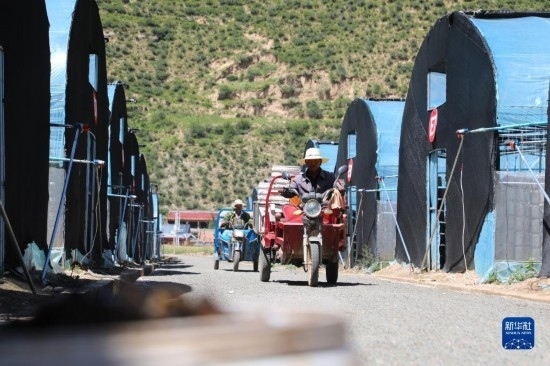 7月29日，農戶在卓尼縣納浪鎮(zhèn)納浪村黑木耳種植基地勞作。