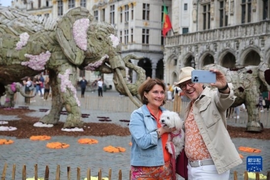 8月11日，觀眾在比利時布魯塞爾“鮮花時光”展覽上拍照。新華社記者 趙丁喆攝