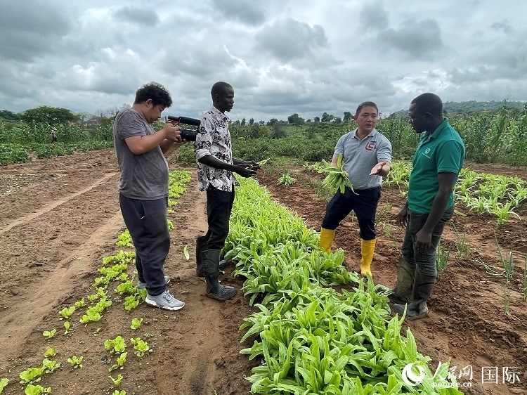 人民網(wǎng)記者走進(jìn)尼日利亞農(nóng)業(yè)技術(shù)示范中心。人民網(wǎng)記者 趙艷紅攝