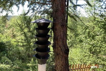 （誘捕器 央視網(wǎng)記者王靜遠 攝）