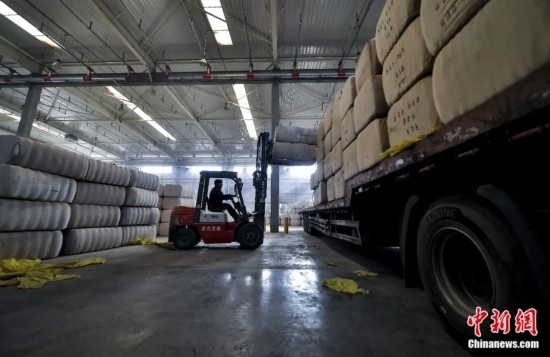 新疆喀什綜合保稅區(qū)，喀什啟路國際貿(mào)易有限公司的倉庫內(nèi)，工人正在裝載從塔吉克斯坦和烏茲別克斯坦進口的棉花。劉新攝