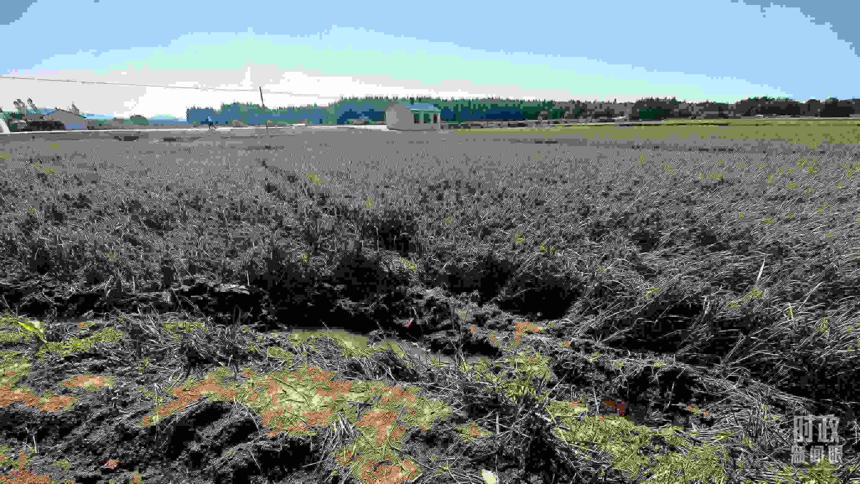 △圖為龍王廟村在洪災(zāi)中受損的農(nóng)田。（總臺央視記者史偉拍攝）