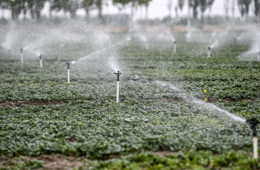 2023年5月25日，在寧夏銀川市永寧縣望洪鎮(zhèn)宋澄村冷涼蔬菜種植基地，小型噴灌節(jié)水設(shè)備在進行噴灌作業(yè)。新華社記者 馮開華 攝