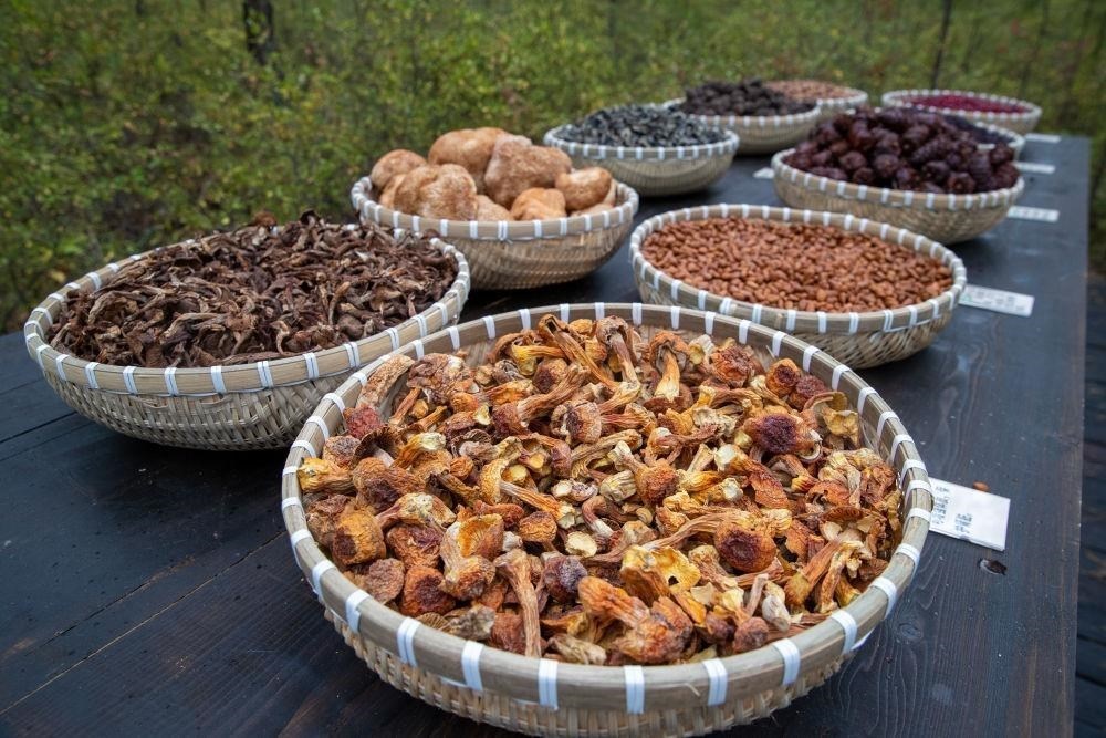 △近日，漠河市北極村一景區(qū)展示的林下產品。