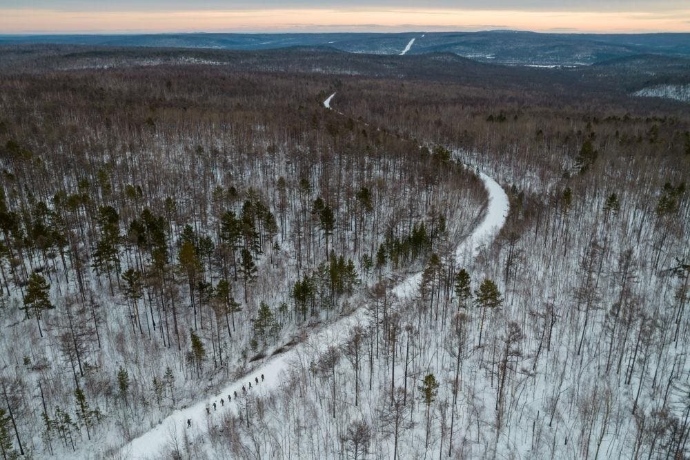 △2023年1月，漠河林場數(shù)十名職工自發(fā)組成的森林撫育隊伍，在人跡罕至的山林中作業(yè)。