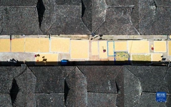 9月16日，在貴州省黔東南苗族侗族自治州從江縣加勉鄉(xiāng)污扣村，村民在晾曬稻谷（無人機照片）。