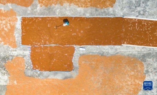 9月16日，農(nóng)民在貴州省安順市西秀區(qū)大西橋鎮(zhèn)吉昌村晾曬高粱（無人機照片）。