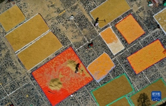9月16日，貴州省黔東南苗族侗族自治州丹寨縣南皋鄉(xiāng)石橋村村民在晾曬農(nóng)作物（無人機照片）。