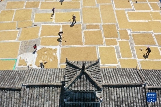 9月16日，村民在貴州省黔東南苗族侗族自治州從江縣剛邊壯族鄉(xiāng)三聯(lián)村晾曬稻谷（無人機照片）。