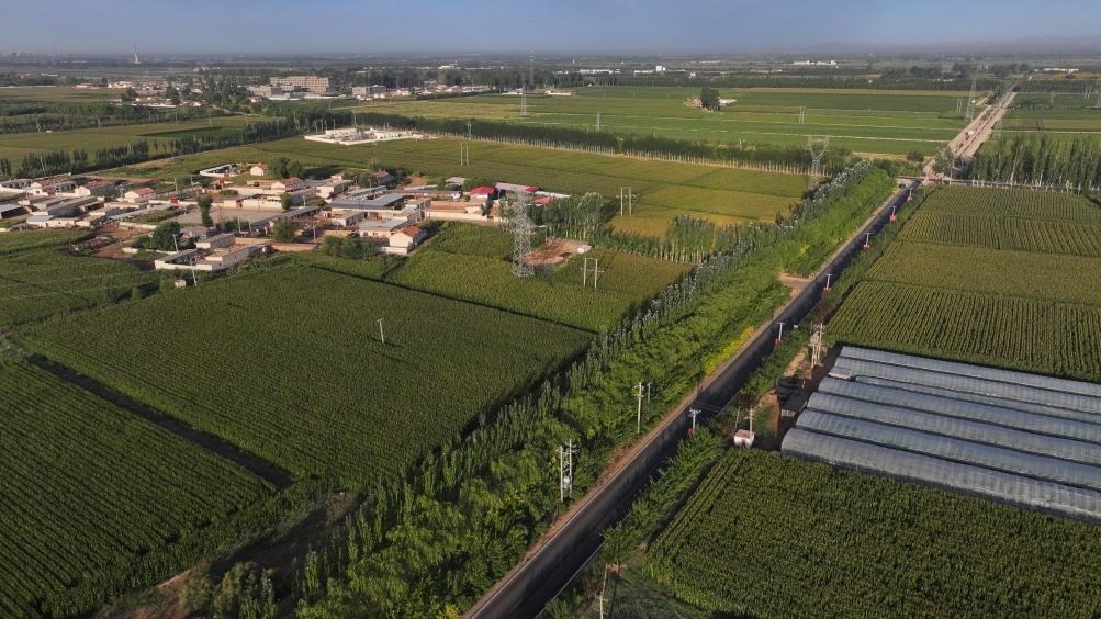 東興村周邊建起防護(hù)林網(wǎng)（無(wú)人機(jī)照片，2023年9月12日攝）。新華社記者李云平 攝