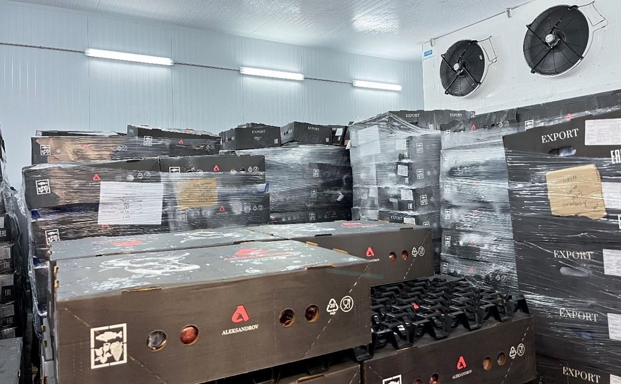 恒溫冷庫中，包裝好的牛肉等待發(fā)往中國。人民網(wǎng)記者 朱虹攝