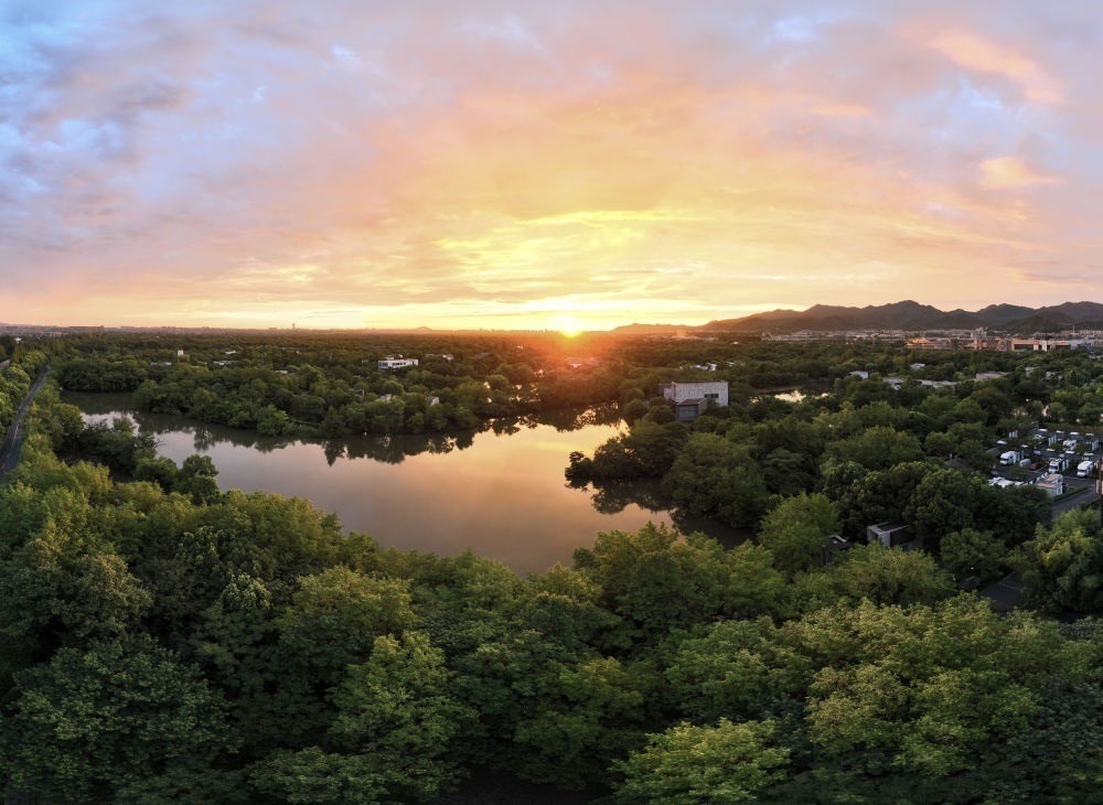 杭州西溪濕地日出景觀。