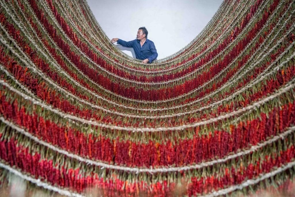 在貴州省畢節(jié)市大方縣理化鄉(xiāng)金雞村，村民查看辣椒烘干情況。新華社發(fā) 羅大富攝