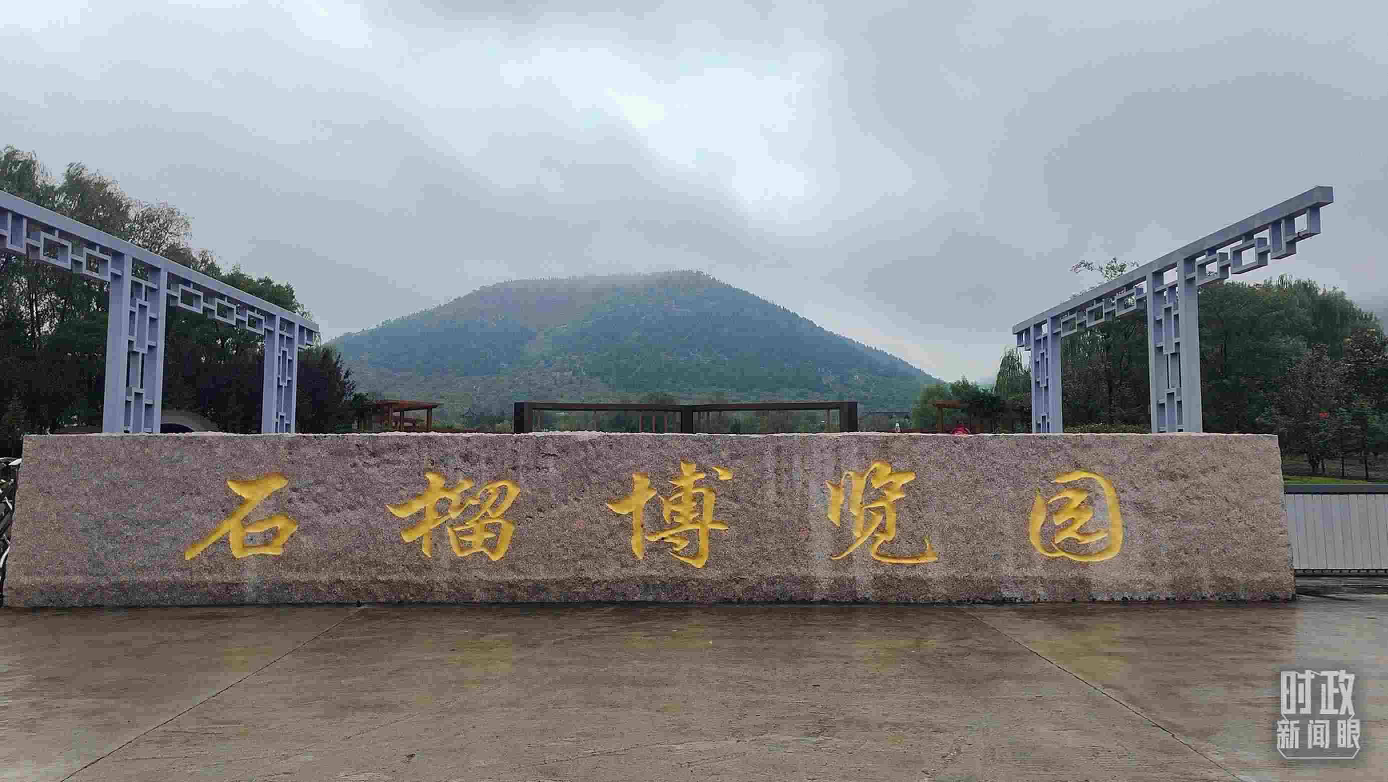 △石榴種質(zhì)資源庫(kù)位于石榴博覽園內(nèi)。（總臺(tái)央視記者楊立峰拍攝）