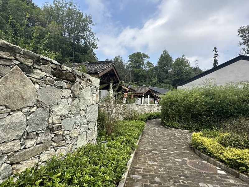 眾多民宿坐落于夫子山山麓。人民網(wǎng) 王紹紹攝