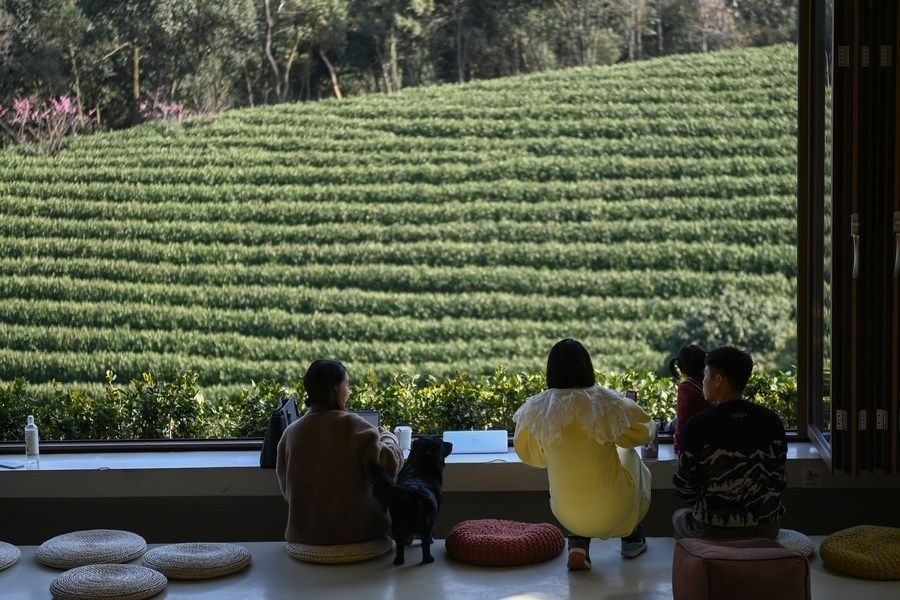 游客在浙江省安吉縣黃杜村萬畝茶園邊的咖啡館休閑（2023年2月21日攝）。