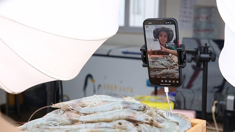 江蘇連云港，村民進(jìn)行直播銷售。范堯攝