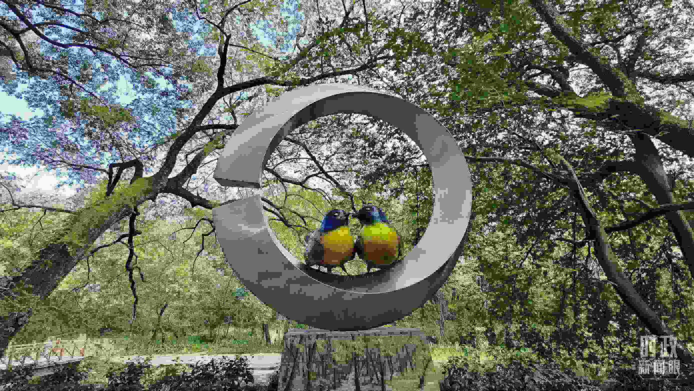 △石門村里的藍(lán)冠噪鹛雕像。（總臺(tái)央視記者許永松拍攝）