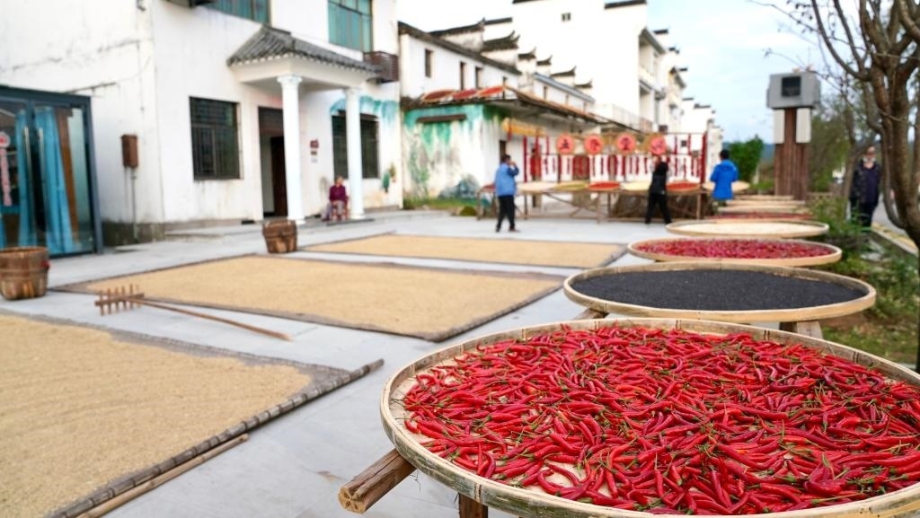 近日拍攝的江西省上饒市婺源縣秋口鎮(zhèn)王村石門自然村。新華社記者 胡晨歡 攝