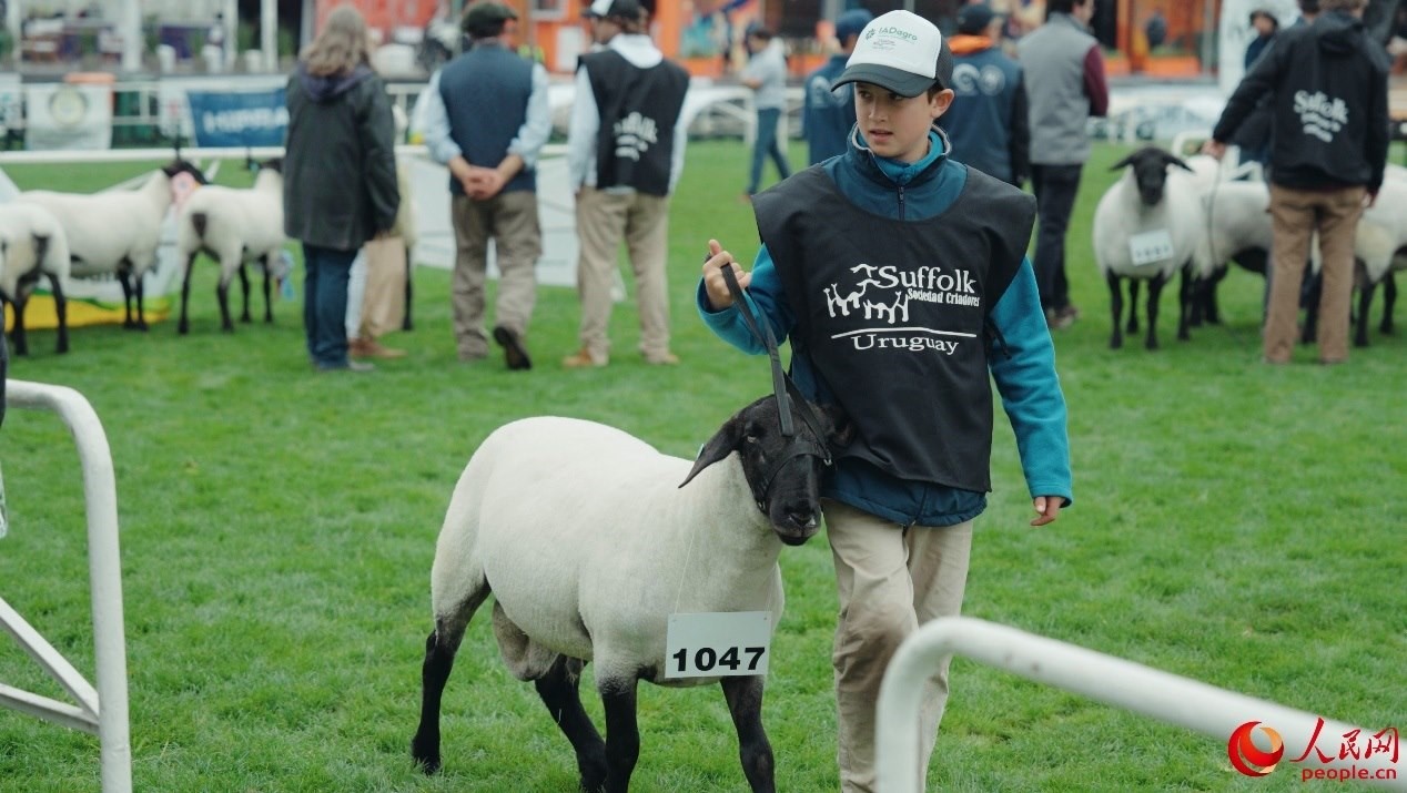 烏拉圭第118屆普拉多牧農(nóng)業(yè)國際博覽會現(xiàn)場。人民網(wǎng)記者 張若涵攝