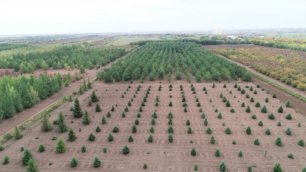 這是2023年9月11日在哈薩克斯坦首都阿斯塔納拍攝的一處植物種質(zhì)資源苗圃（無人機(jī)照片）。新華社發(fā)（法爾哈特·圖克諾夫 攝）