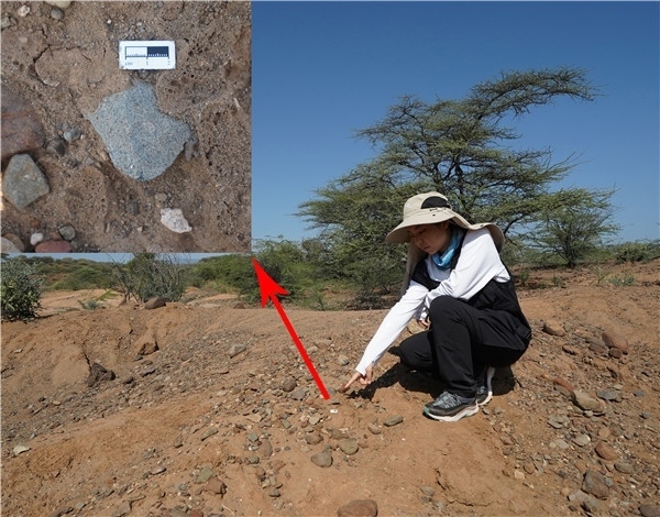 地層中的勒瓦婁哇石片。中肯聯(lián)合考古隊(duì)供圖