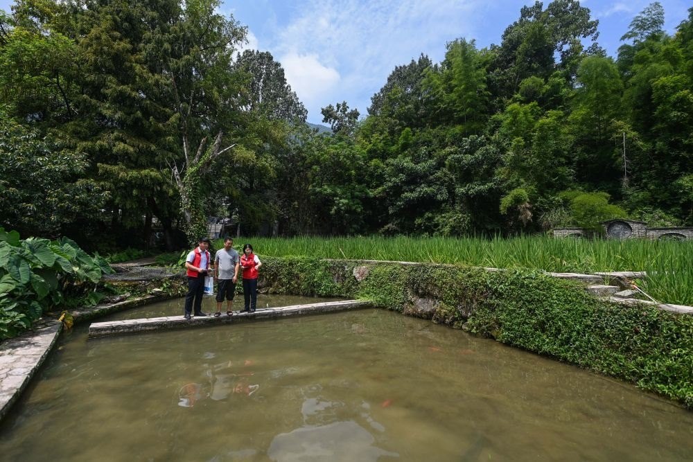 2023年8月17日，浙江省麗水市青田縣方山鄉(xiāng)田魚養(yǎng)殖戶吳勇強(qiáng)（中）在接受青田農(nóng)商銀行“小蜻蜓”服務(wù)隊(duì)志愿者提供的“惠民易貸”上門服務(wù)。近年來(lái)，青田縣金融發(fā)展中心聯(lián)合各個(gè)金融機(jī)構(gòu)優(yōu)化配套鄉(xiāng)村振興金融服務(wù)，推出“惠民易貸”“農(nóng)家樂(lè)貸”等金融產(chǎn)品，重點(diǎn)支持涉農(nóng)龍頭企業(yè)及特色種養(yǎng)殖產(chǎn)業(yè)。新華社記者 徐昱 攝