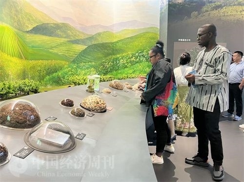  （在中國藥都中醫(yī)藥博物館，外媒記者了解中醫(yī)藥發(fā)展史。中國經(jīng)濟周刊記者 郭志強 攝）