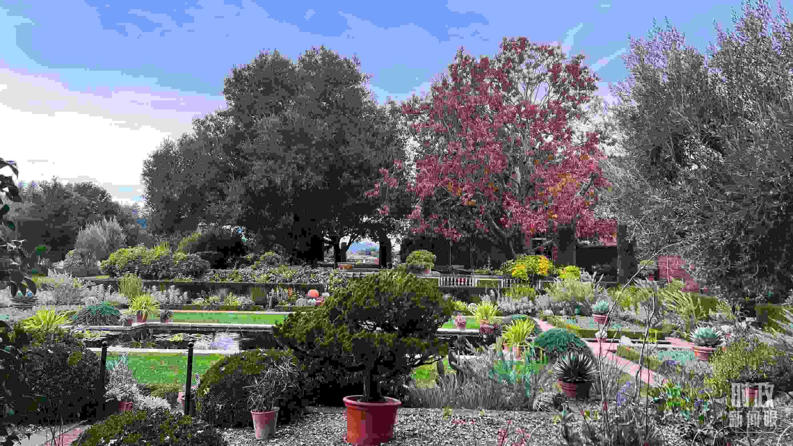 斐洛里莊園被稱作美國20世紀現(xiàn)存最精美鄉(xiāng)村莊園之一。（總臺央視記者程鋮拍攝）